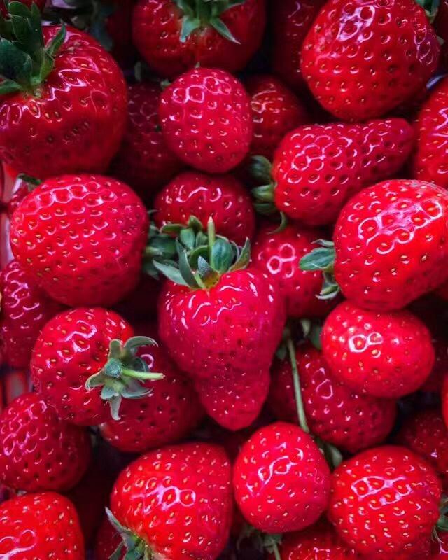 熬糖版_雪花酥（多口味儿）