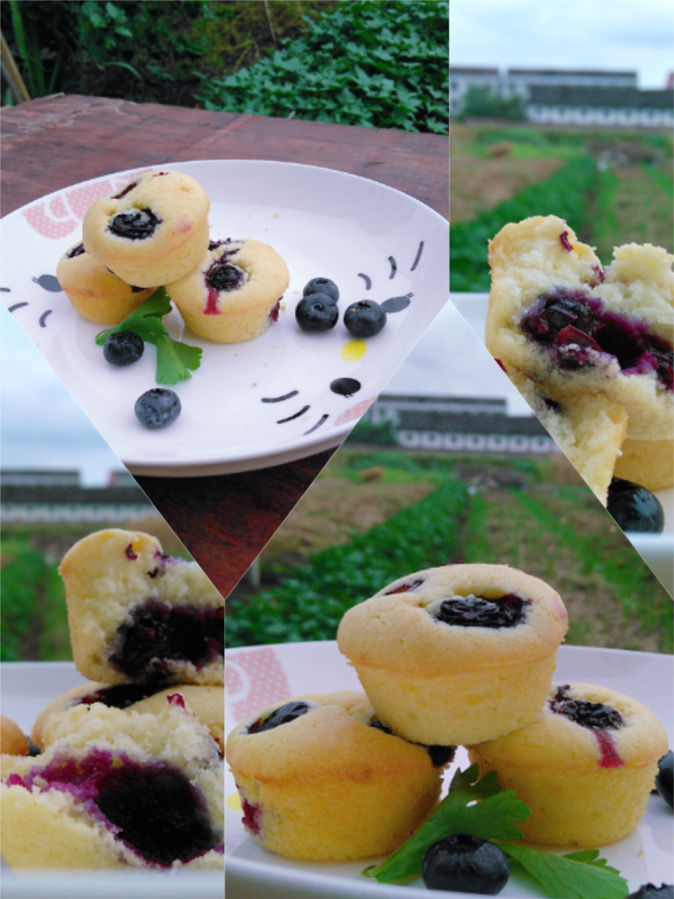 0失败的葡萄干麦芬