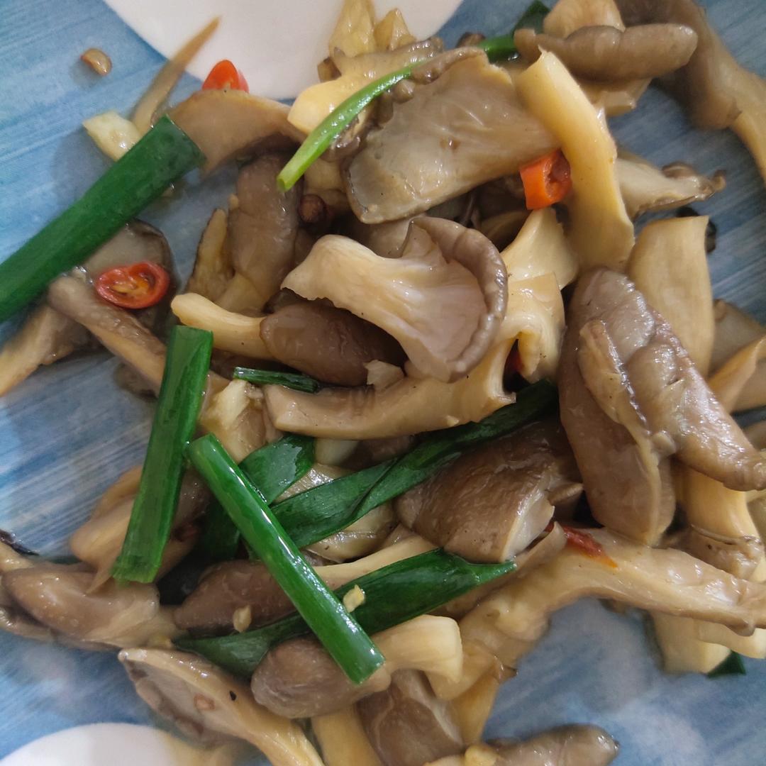 素炒平菇