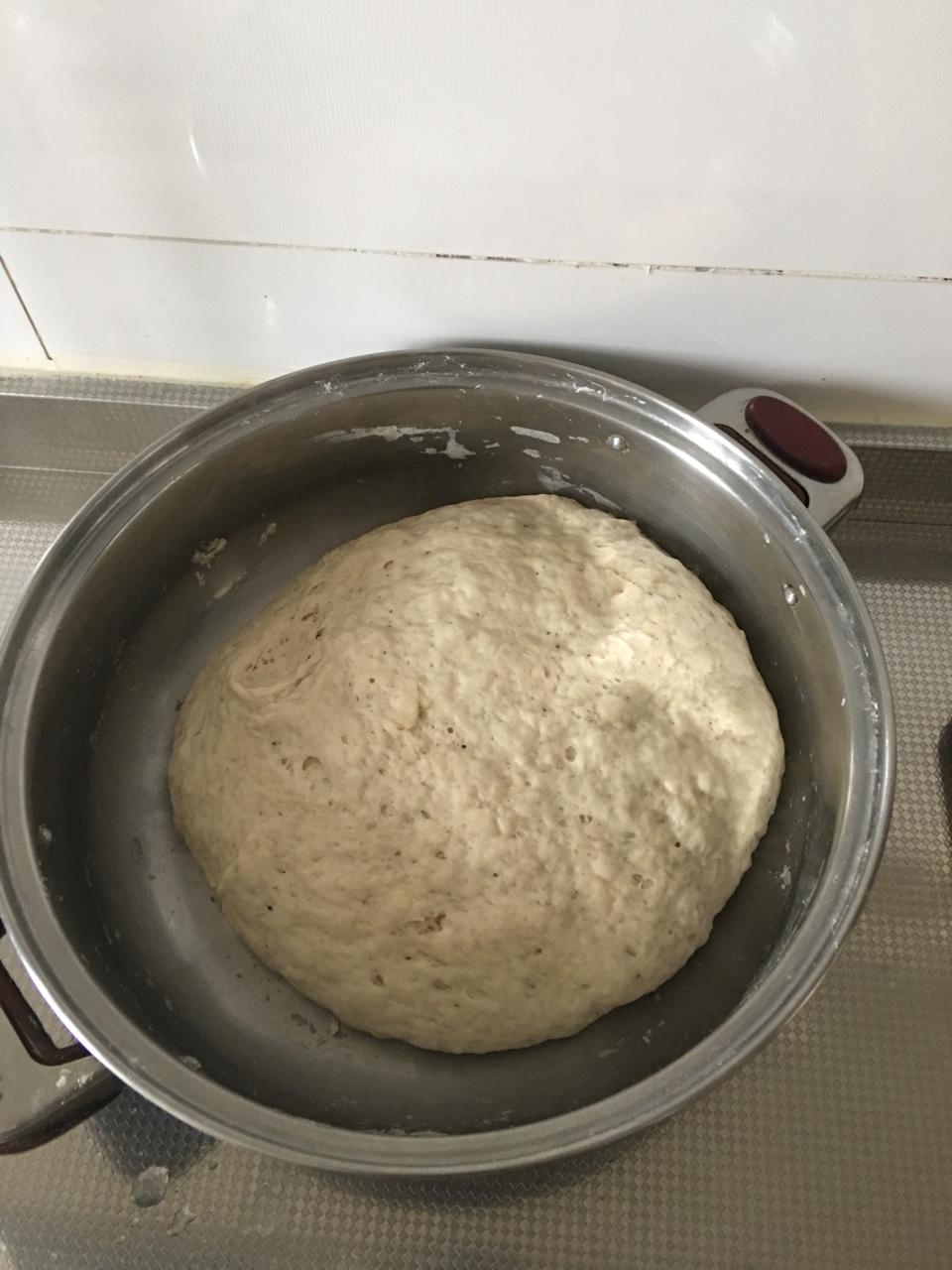 堂妈教你山菜鲜肉大包子