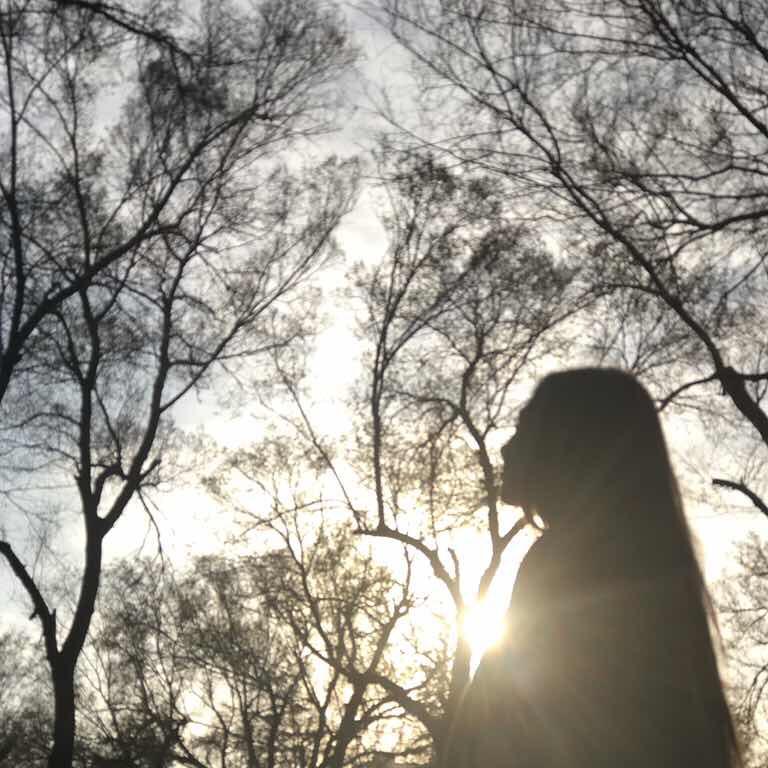 沙咪-4