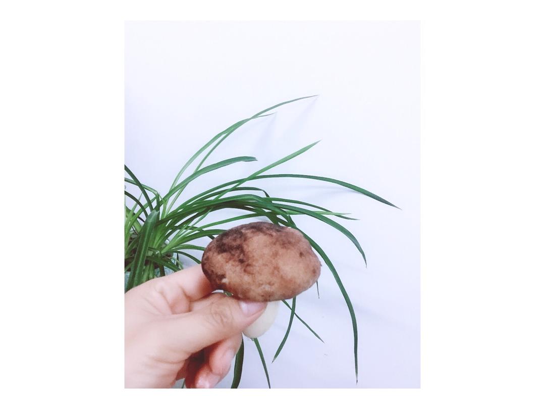 蘑菇包