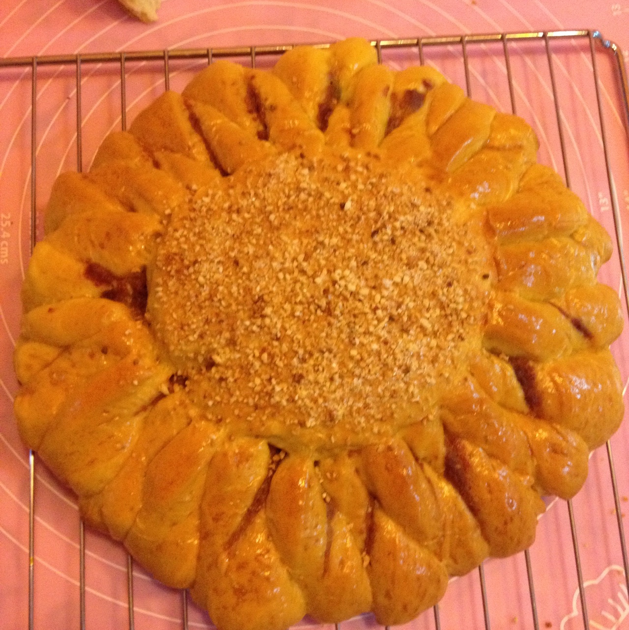 向日葵豆沙面包