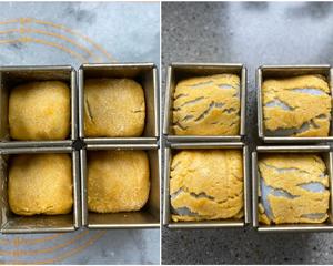 面包里的暖暖星空✨蝶豆花咸蛋黄芋泥脆皮吐司的做法 步骤14