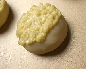 一次发酵简单版，奶香椰蓉小餐包的做法 步骤7