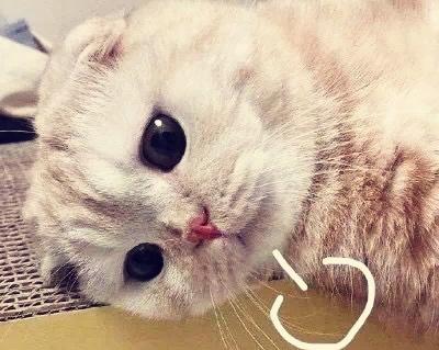 2020春节在家的日子3