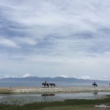 黑糯米椰汁甜甜