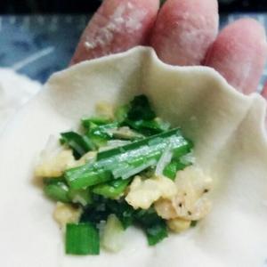 超详细的韭菜鸡蛋虾皮馅儿水饺做法(附保存方法)的做法 步骤10