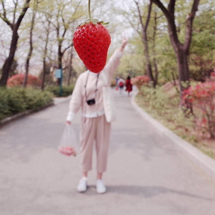 芝士条呀的厨房