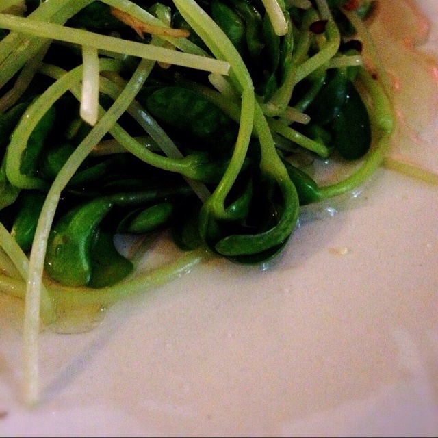 呛口麻辣黑豆苗