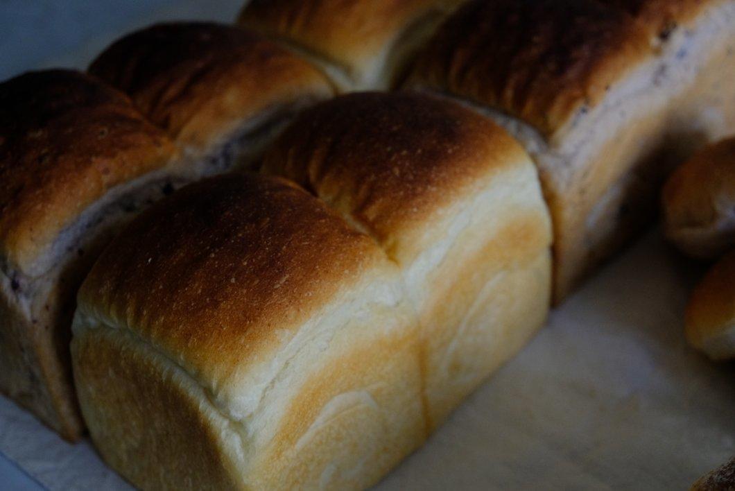 薄荷の练包小基地