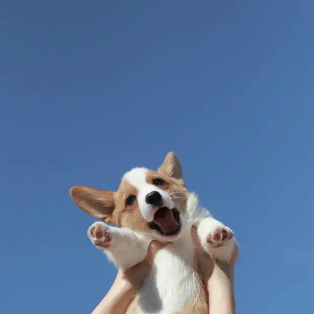 檬之吃饭