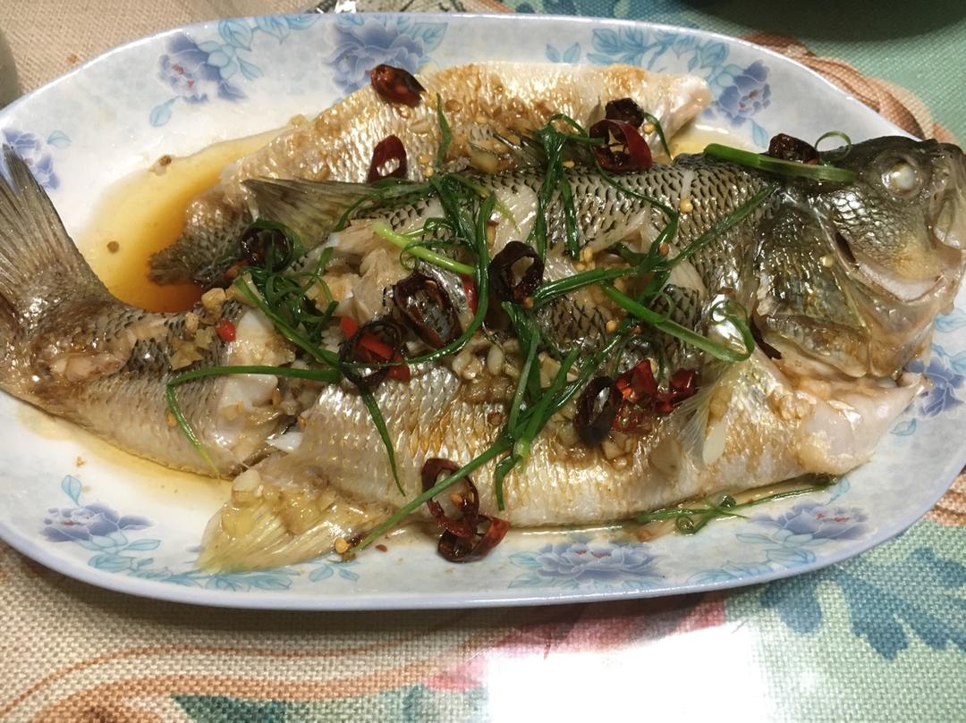 超入味清蒸鱼～清蒸鲈鱼桂花鱼（家常独创）