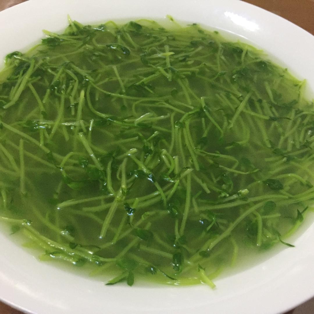 上汤豆苗