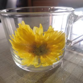 金银花甘草菊花茶图片大全 敖羽星的金银花甘草菊花茶图片 金银花甘草菊花茶图片大全 敖羽星的金银花甘草菊花茶图片