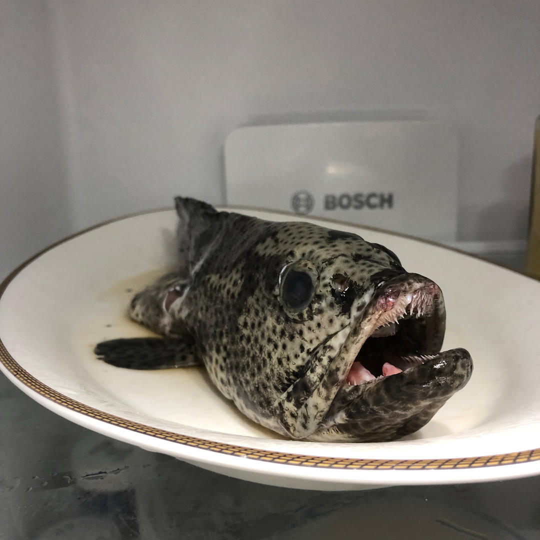 清蒸老虎斑