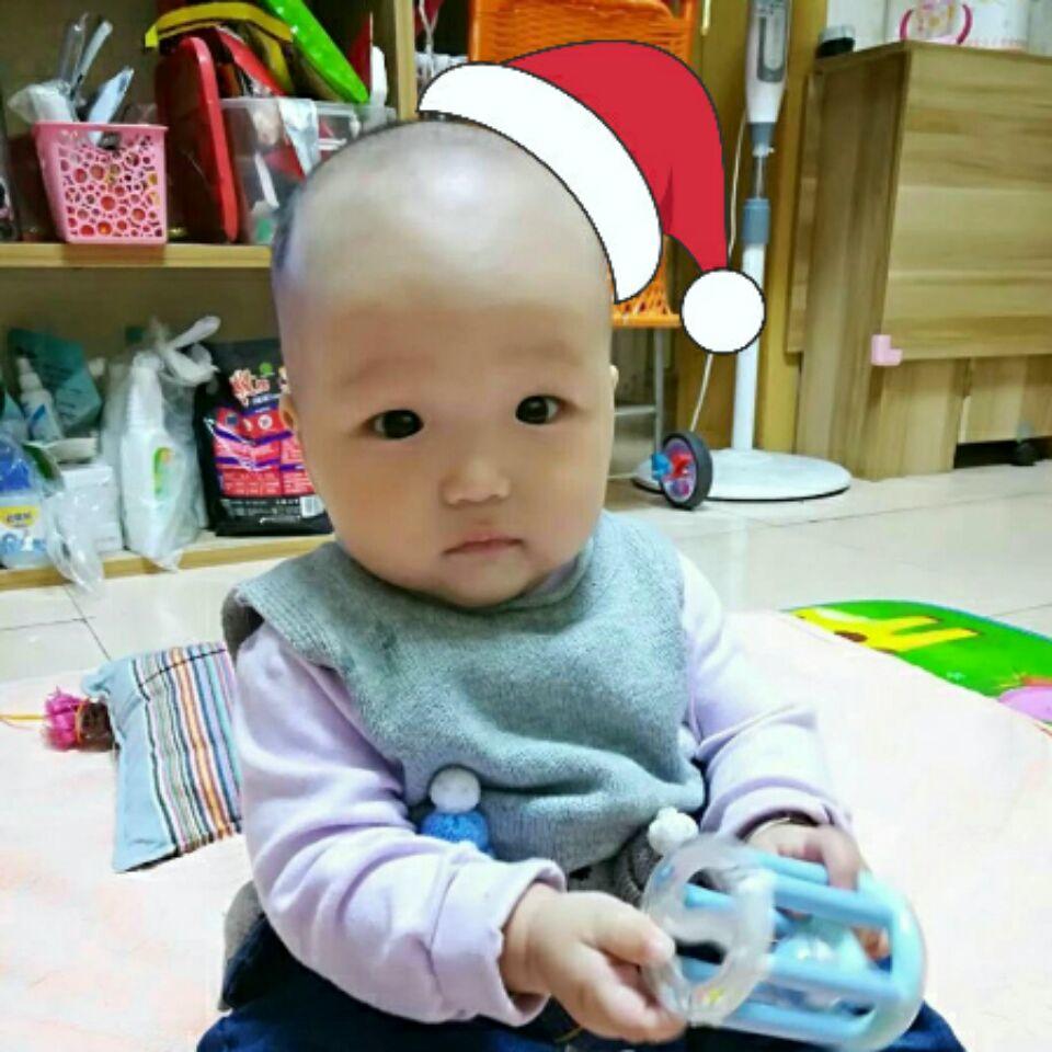 欣欣向荣的柠檬树