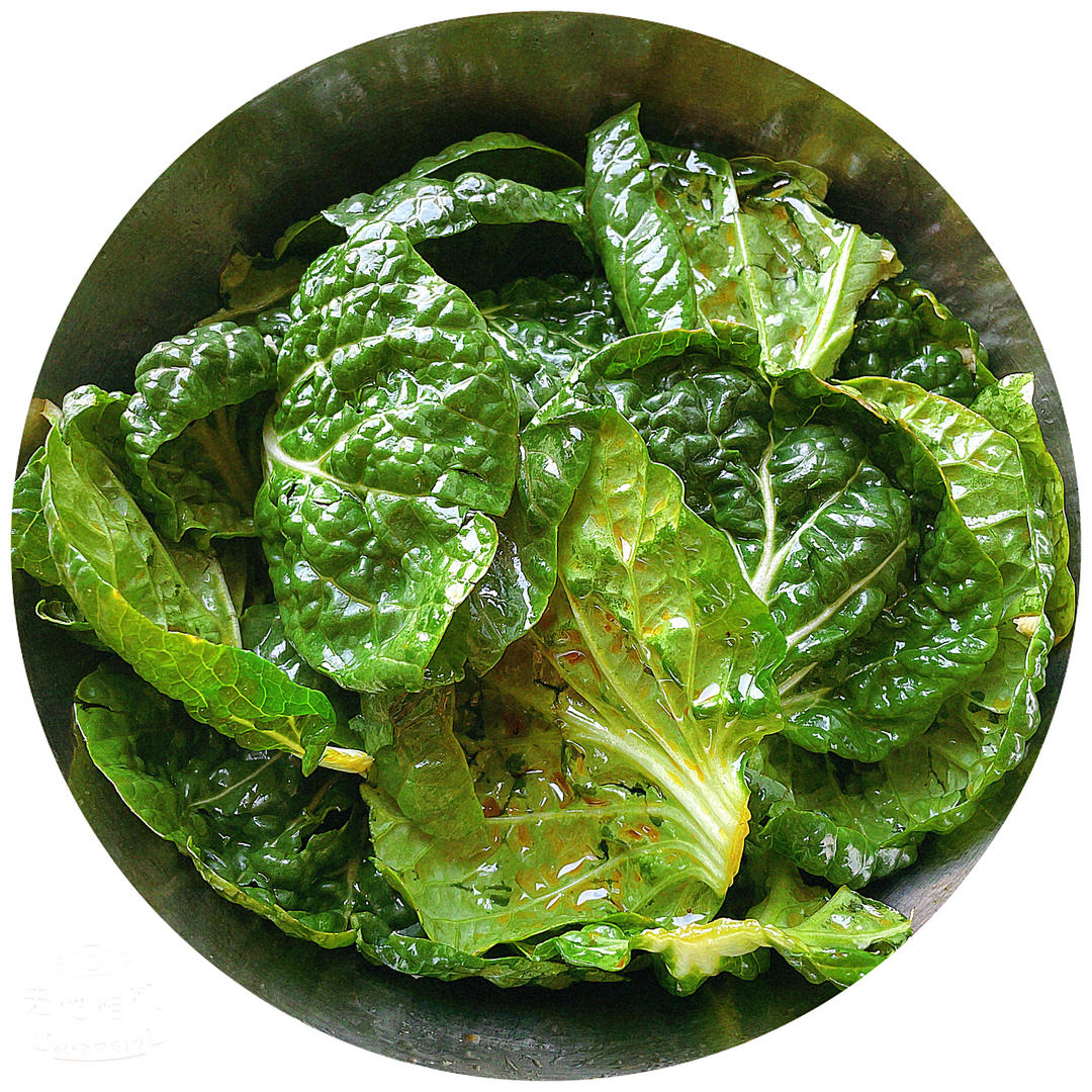 炝拌奶白菜