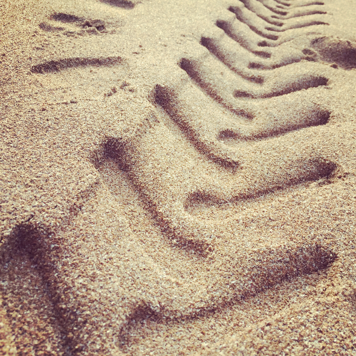 关于厨房不成文的潜规则🙄