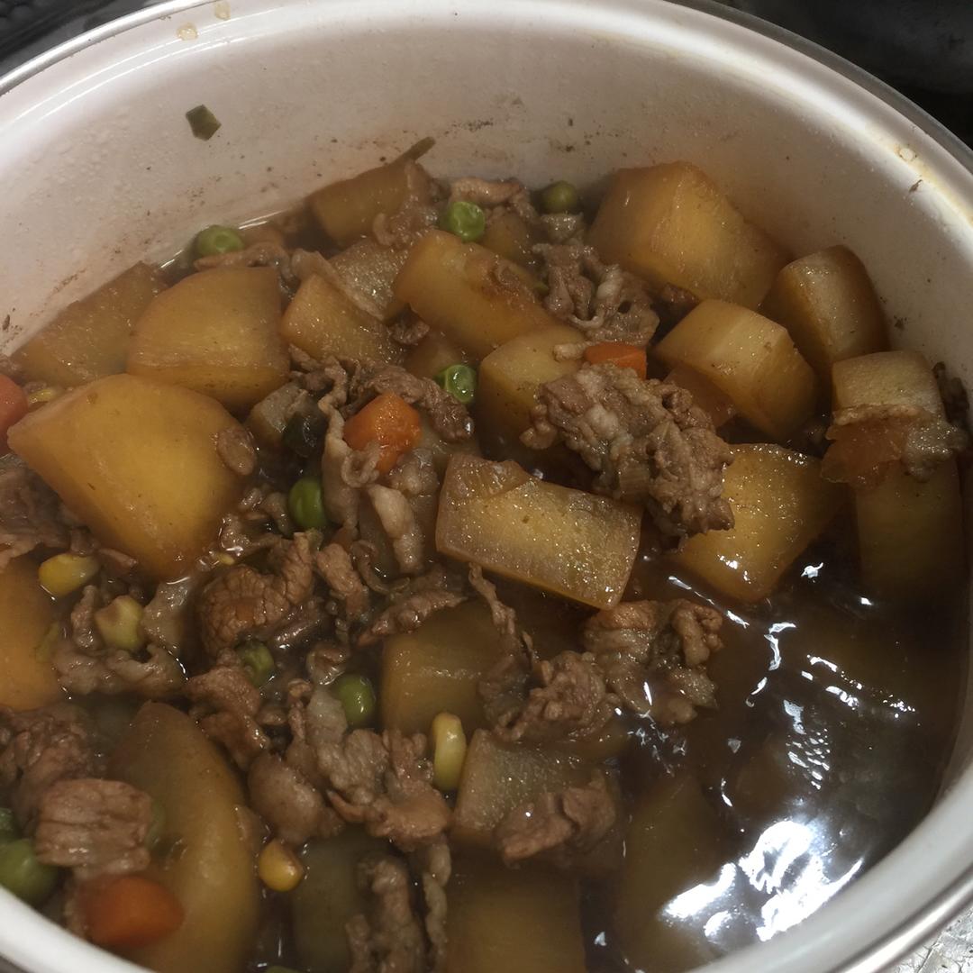 快手红烧萝卜