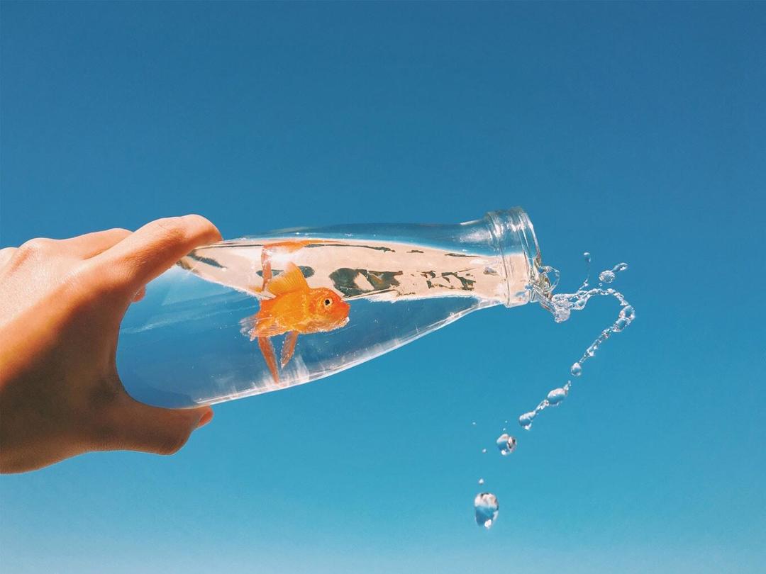 人生 楽しんだもん勝ち