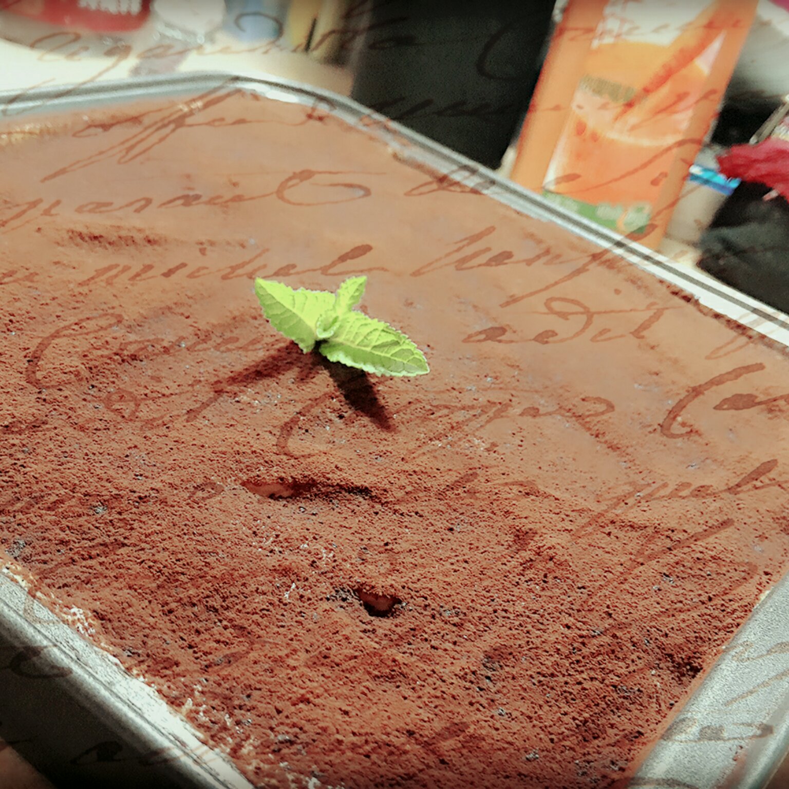 意大利传统提拉米苏Tiramisù Classico