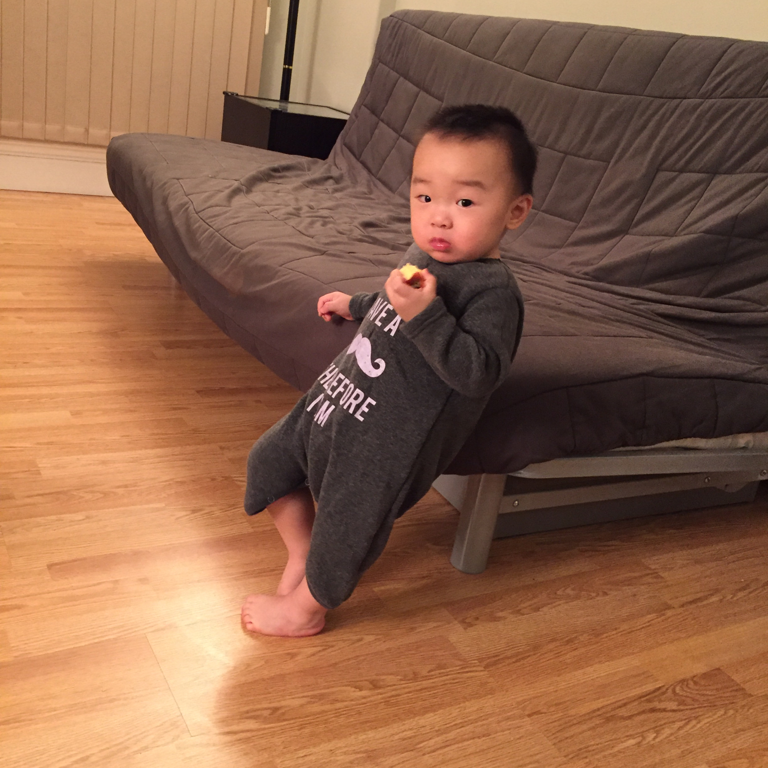 Ollie的辅食