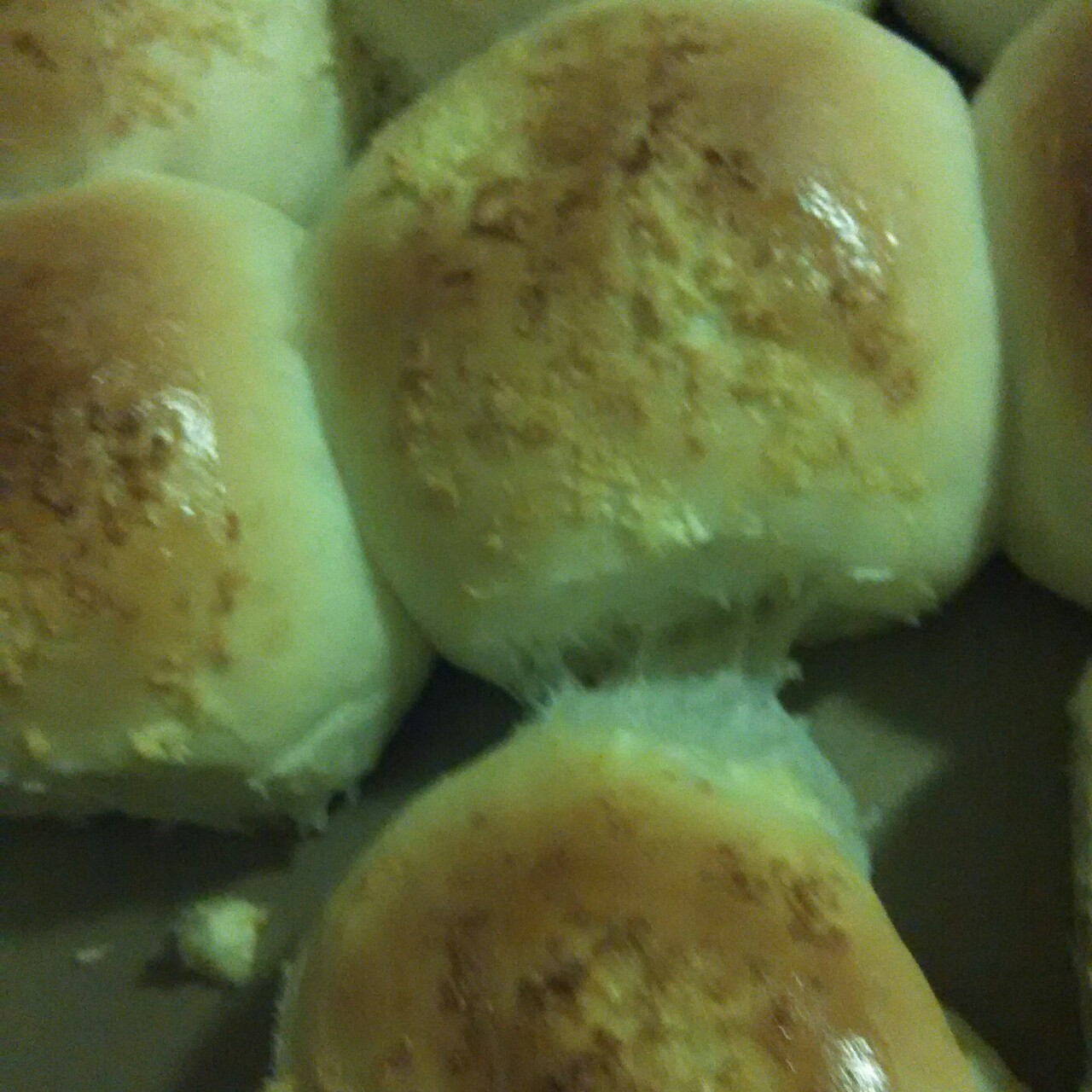 鲜奶油小餐包（一次发酵）