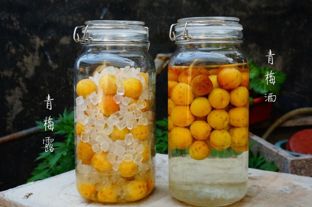 【青梅酒】梅子的沉醉时光（已填坑）