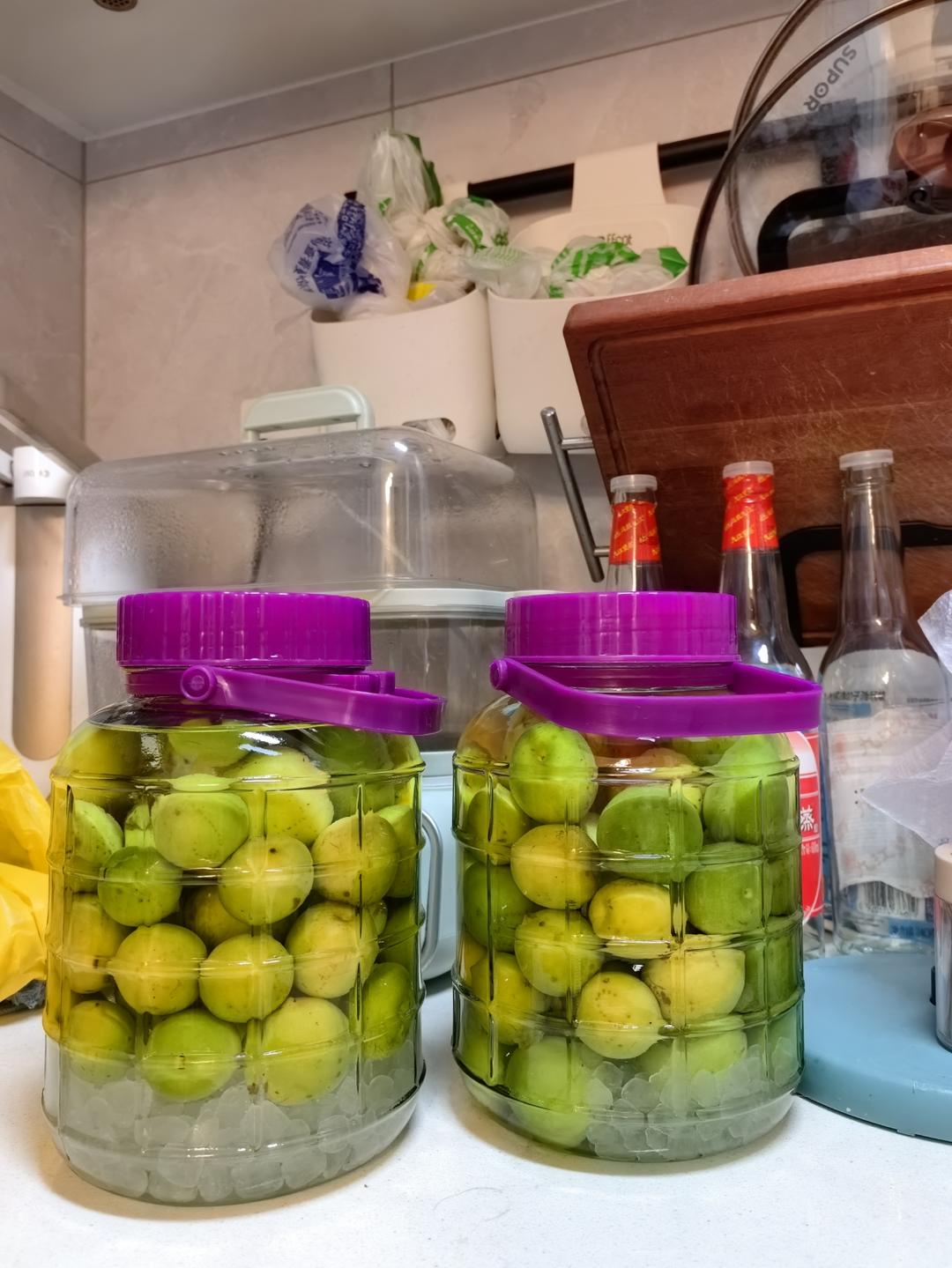 【青梅酒】梅子的沉醉时光（已填坑）