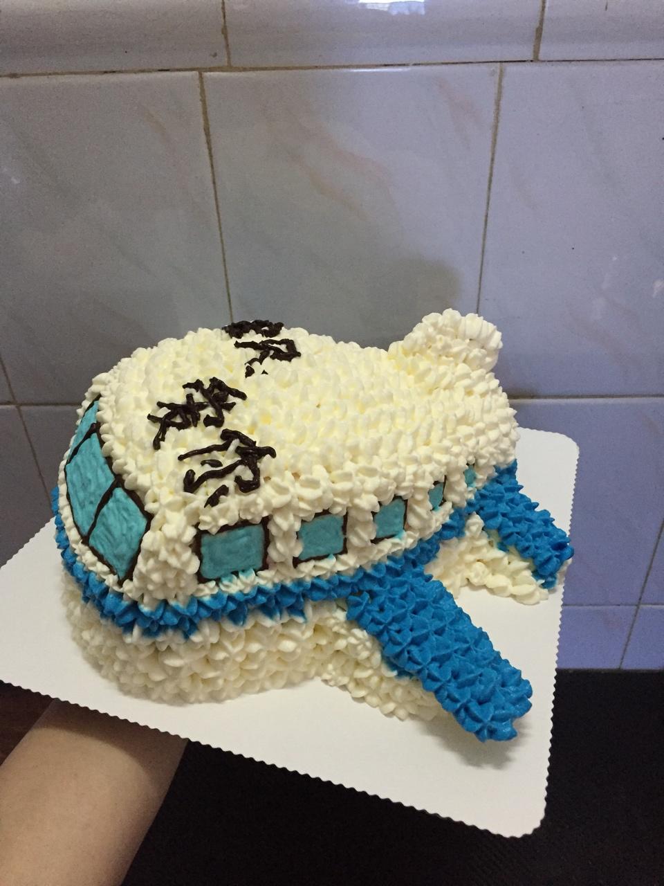 立体小客机蛋糕