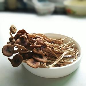 老饶家丨茶树菇烧肉的做法 步骤1