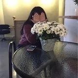 豌豆奇遇记