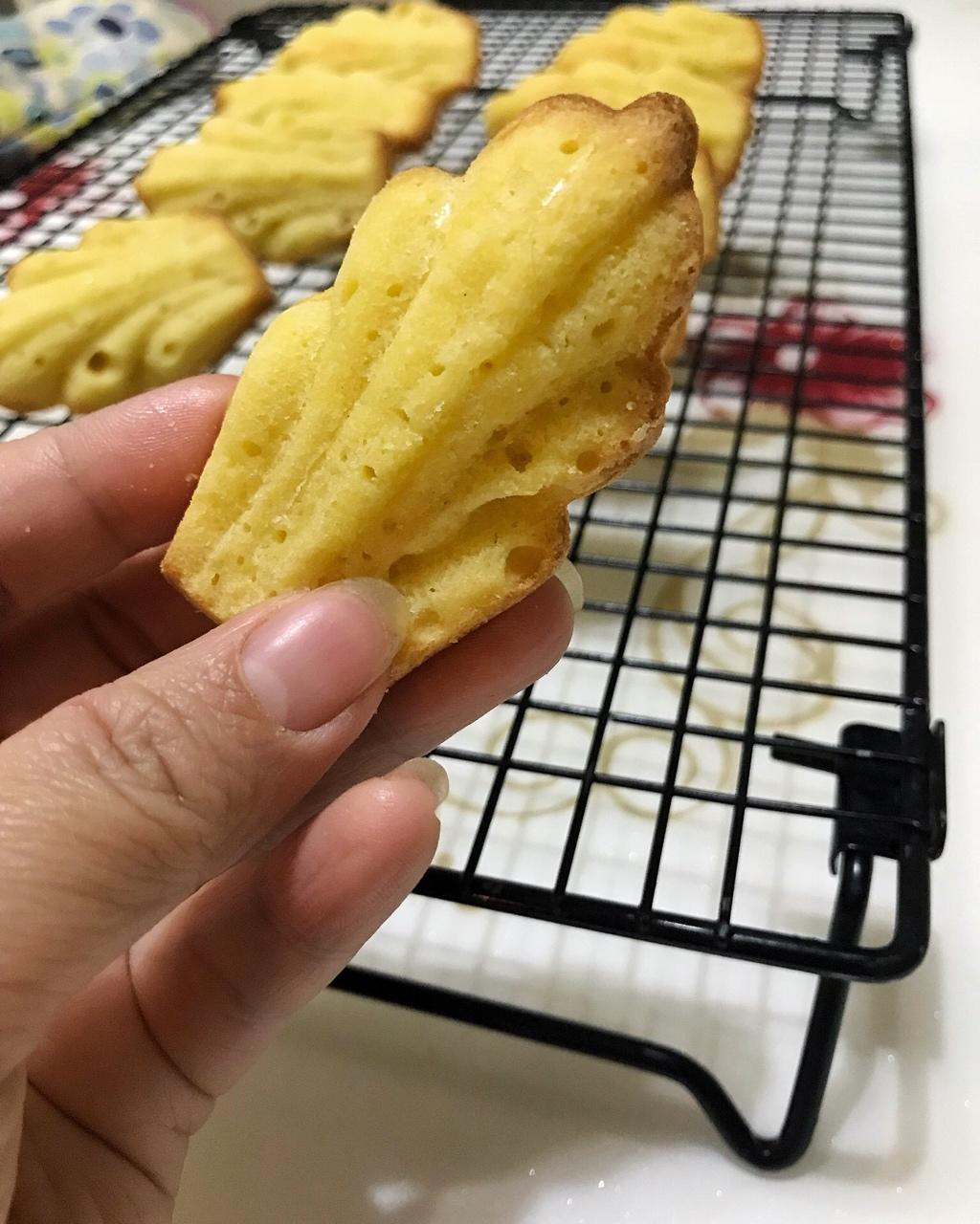 基础玛德琳