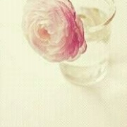 Sui茉茉
