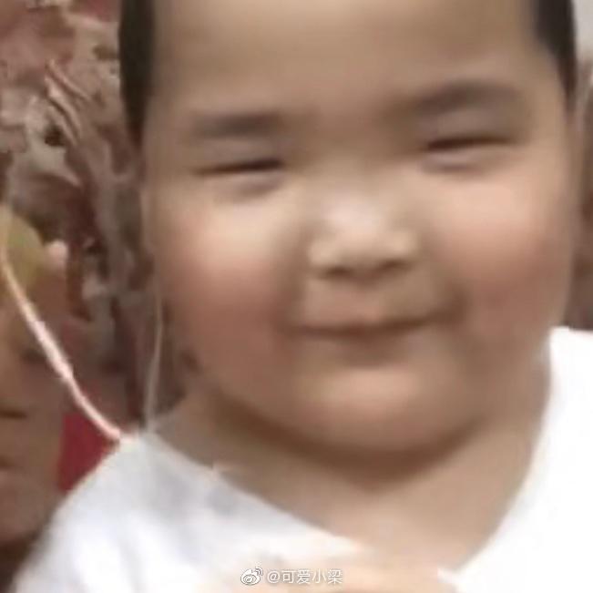 假马尔木雷