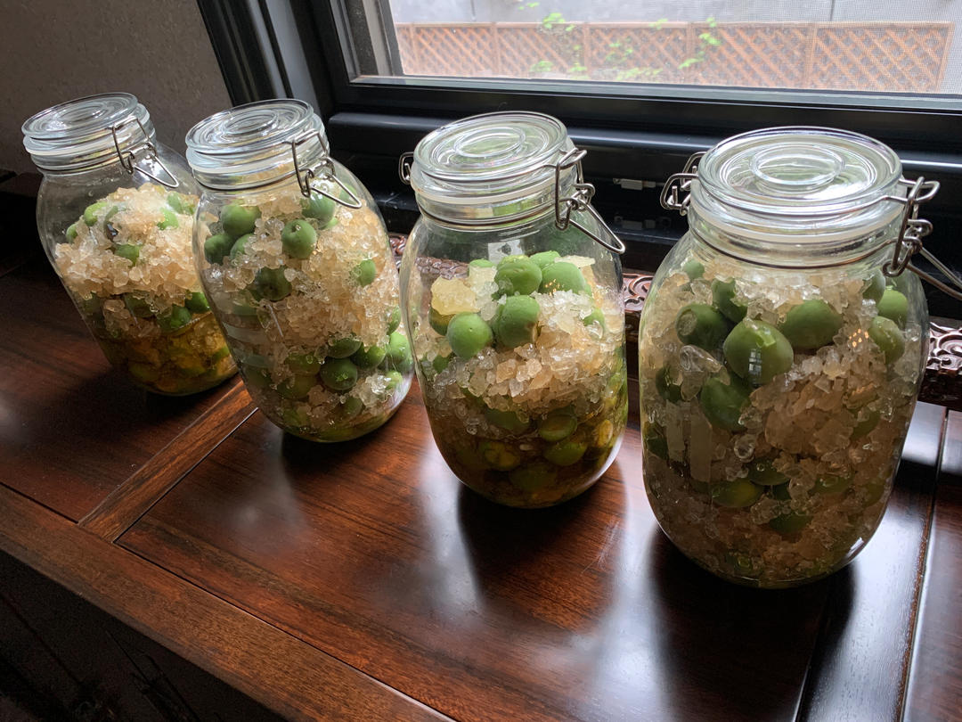 零失败【青梅酒 & 梅子露】梅子的沉淀岁月