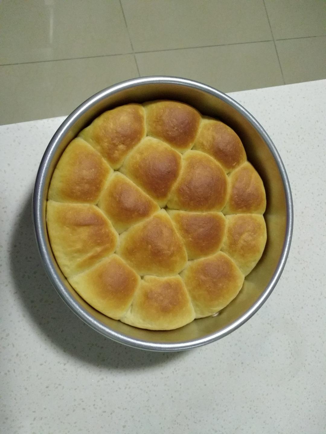 奶酪金钱小面包