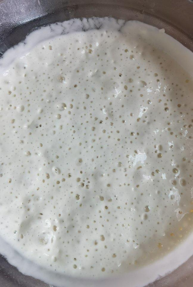 零机器免揉|徒手做出漂亮大气孔欧包|恰巴塔Ciabatta