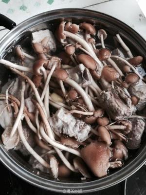 茶树菇炖排骨"自家快手菜的做法 步骤3