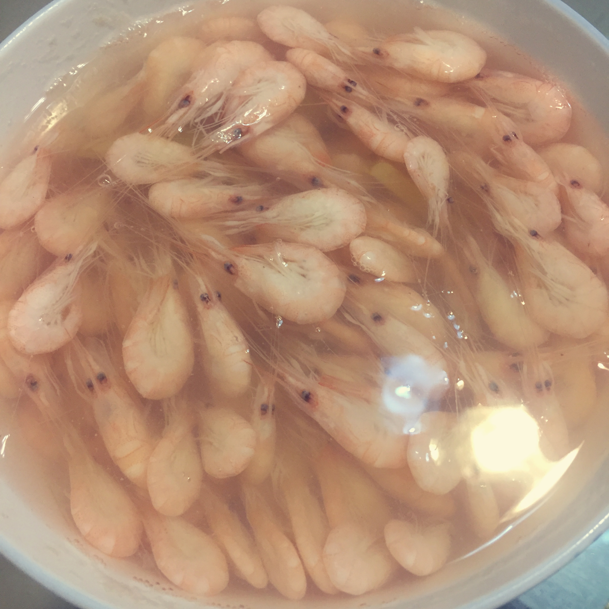 盐水河虾