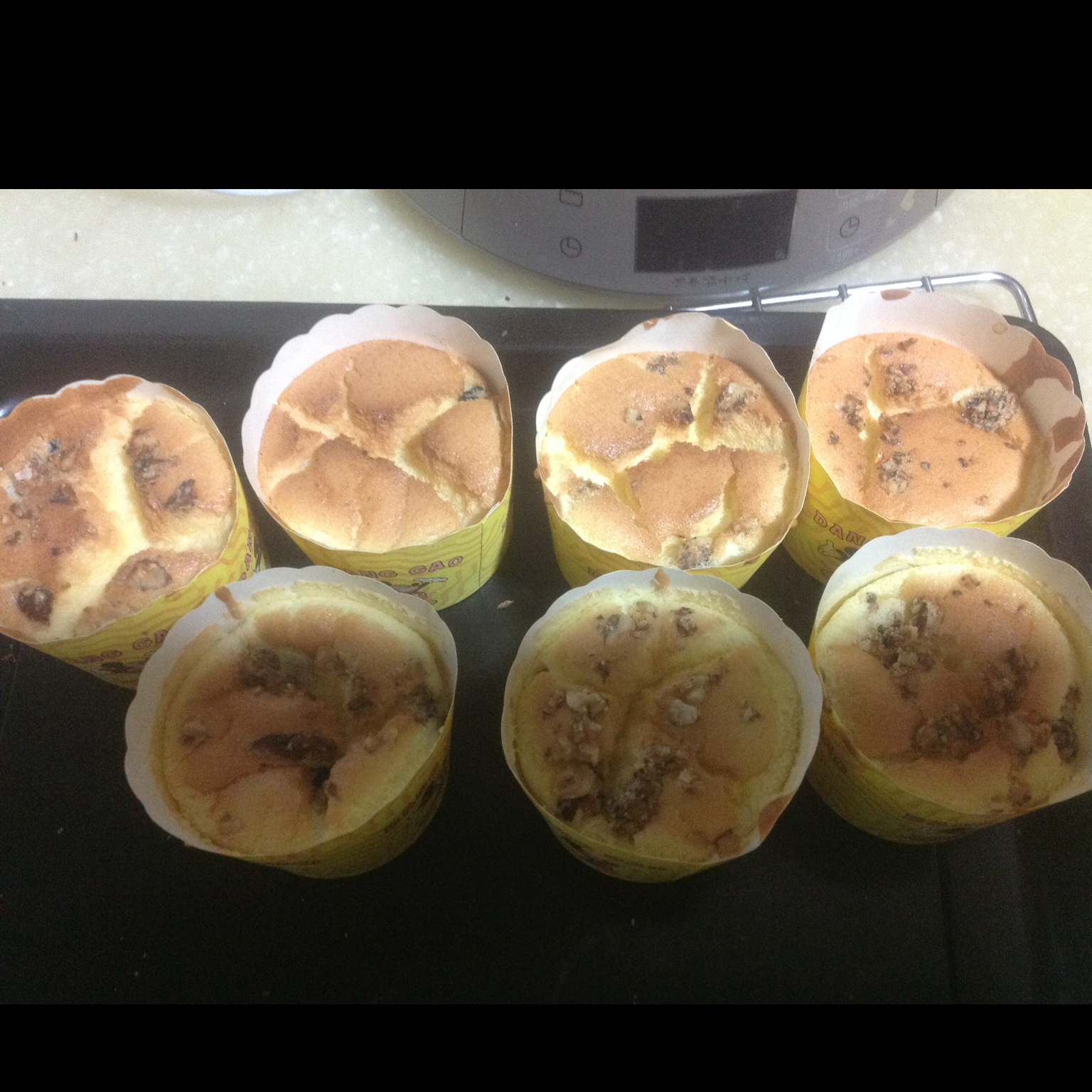 戚风～核桃葡萄干