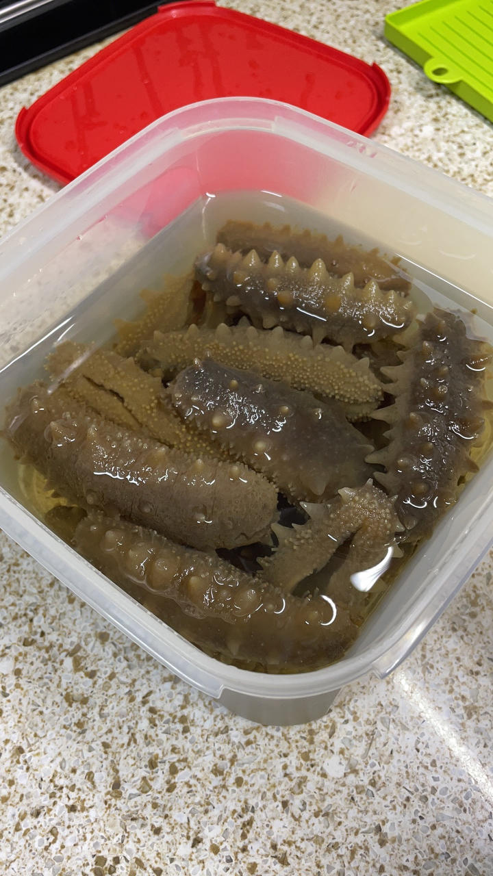 泡发海参（自家秘方）