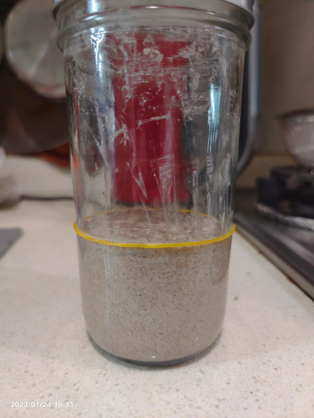 天然酵母养成计划