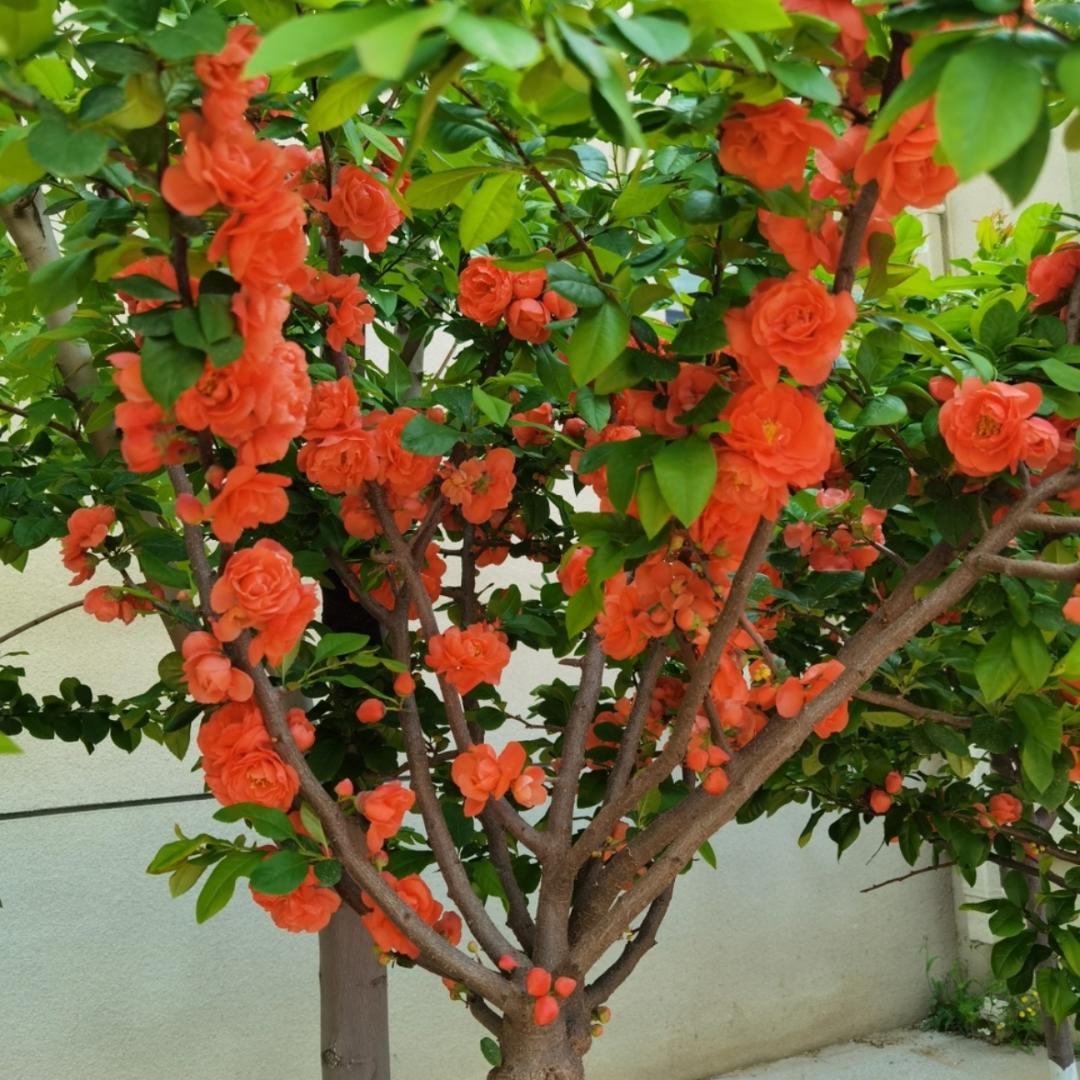 下厨房用户_eb7hb