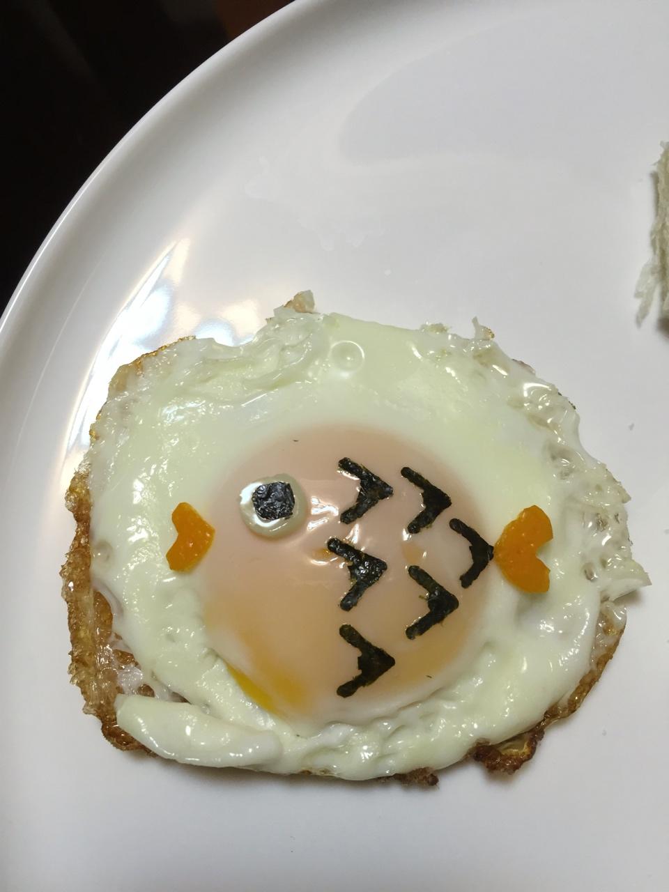 太阳蛋的逆袭