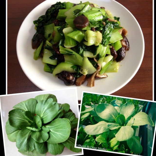 上海青爆炒香菇