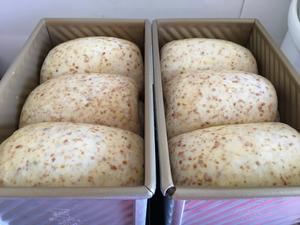 冷藏发酵中种法小麦胚芽庞多米吐司的做法 步骤8