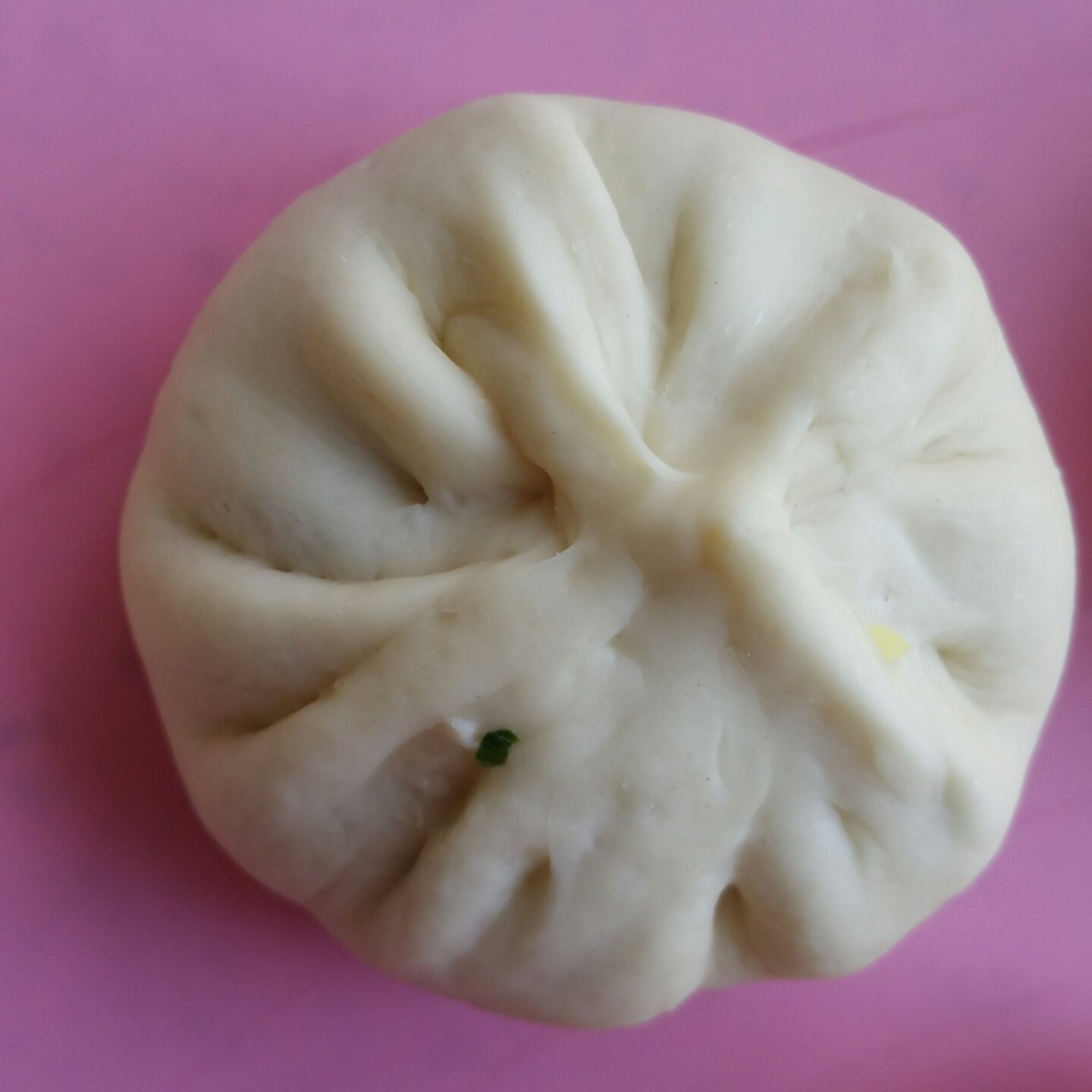 【曼食慢语】鲜肉包子