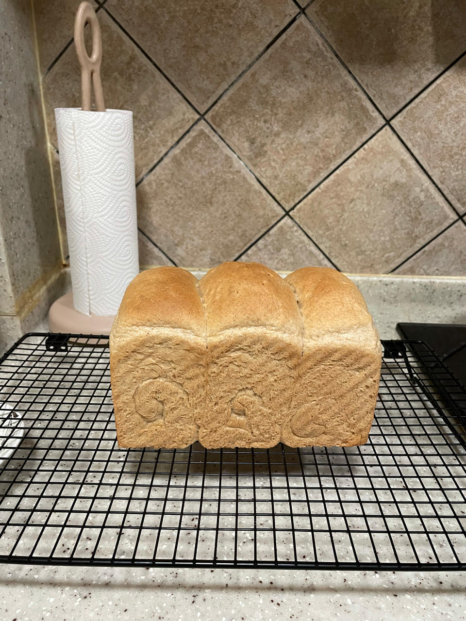 减脂｜无糖全麦吐司🍞，无糖全麦也能长得高